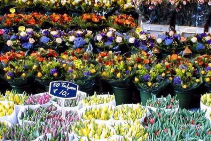 Цветочный магазин - бизнес план открытия С чего начать цветочный бизнес